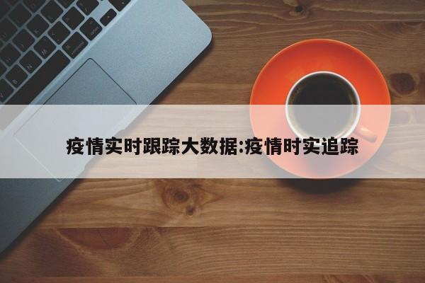 疫情实时跟踪大数据:疫情时实追踪