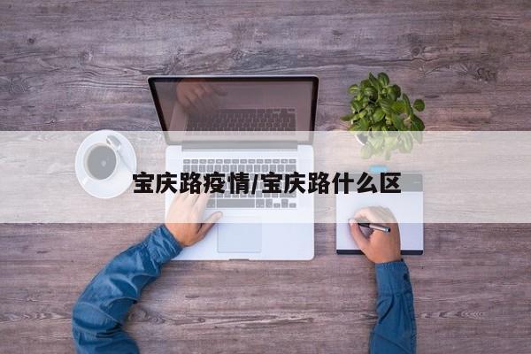 宝庆路疫情/宝庆路什么区