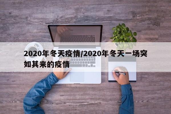 2020年冬天疫情/2020年冬天一场突如其来的疫情