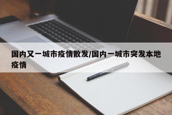 国内又一城市疫情散发/国内一城市突发本地疫情