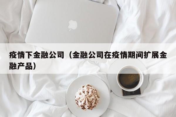 疫情下金融公司（金融公司在疫情期间扩展金融产品）
