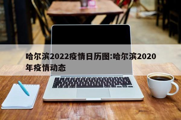 哈尔滨2022疫情日历图:哈尔滨2020年疫情动态