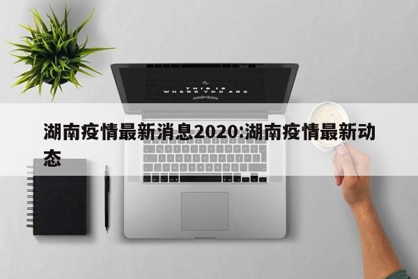 湖南疫情最新消息2020:湖南疫情最新动态