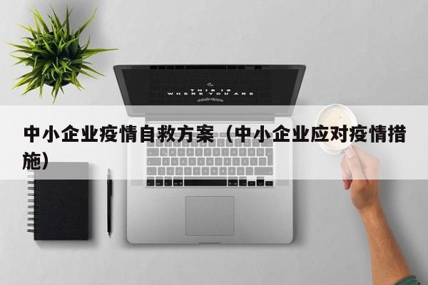 中小企业疫情自救方案（中小企业应对疫情措施）