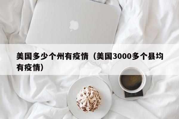 美国多少个州有疫情（美国3000多个县均有疫情）
