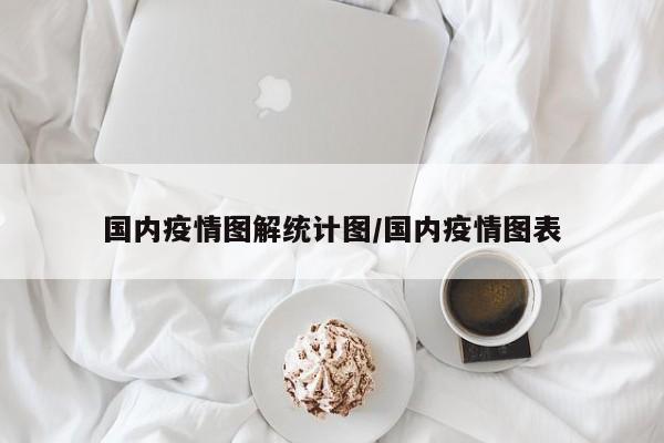 国内疫情图解统计图/国内疫情图表